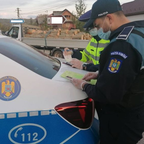 Poliția din Bucecea oprește o autoutilitară care transporta lemn ilegal