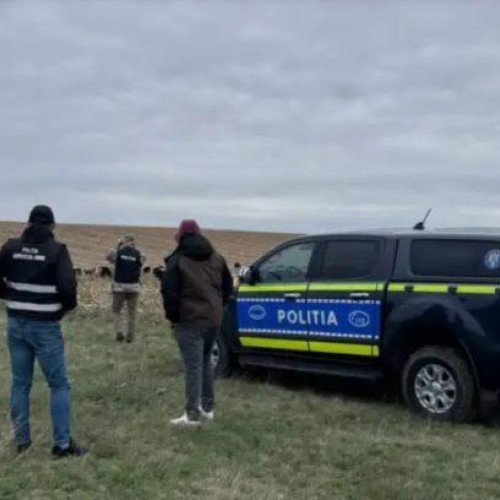 Politia din Botosani investigheaza uciderea a cainilor in comuna Corlateni
