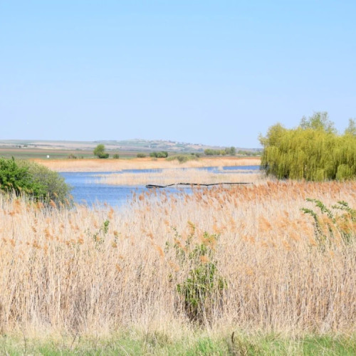 Descoperire arheologică semnificativă în județul Botoșani