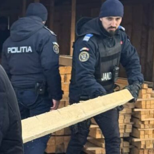 FOTO Om de afaceri din Botoșani anchetat de polițiști. Făcea afaceri ilegale cu lemne