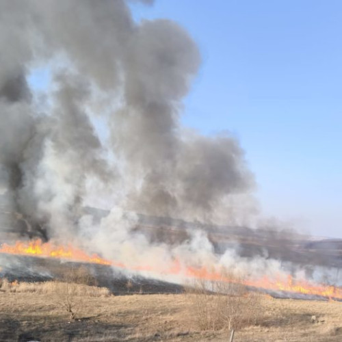 Doi bărbați amendați pentru incendierea vegetației în comuna Suharău