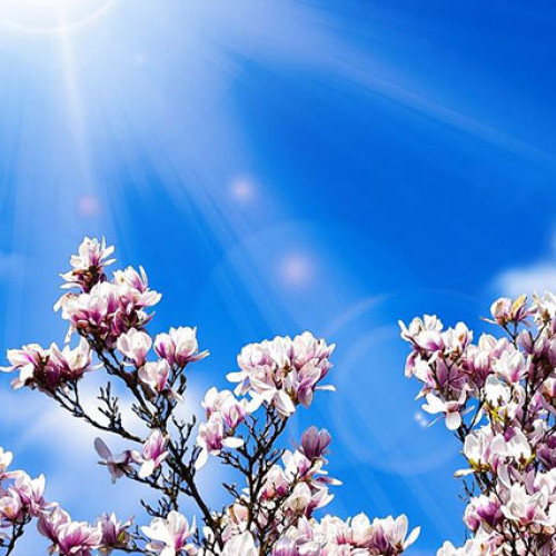 Vremea în luna martie: estimări de la meteorologi