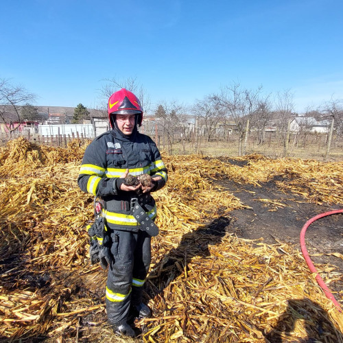 Incendii devastatoare în județul Botoșani