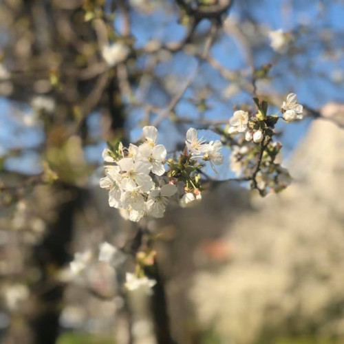 Vremea în România: previziuni pentru următoarea lună