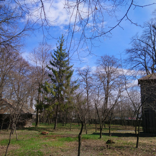 Biserica de Lemn din Dobrinauti Hapai, Unicat în România