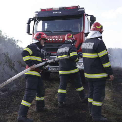 Incendiile de vegetație au devastat peste 8.000 de hectare în România