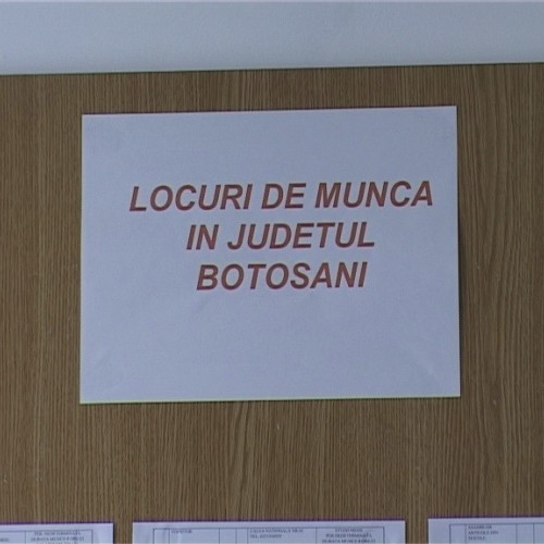 Somerii din Botoșani au la dispoziție 361 de locuri de muncă vacante