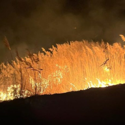 Incendii de vegetație în județ, pompierii intervin în cinci localități