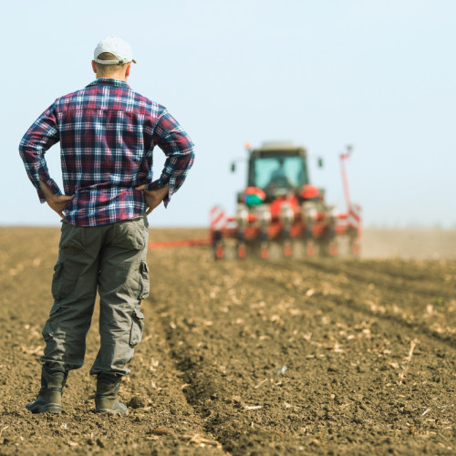 Agentia de Plati si Interventie pentru Agricultura a demarat autorizarea ajutoarelor pentru 2024