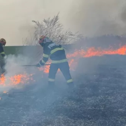 Patriarhia Română îndeamnă la rugăciune în fața incendiilor de vegetație