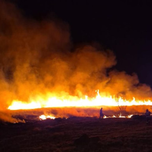 Val de incendii devastatoare în județ