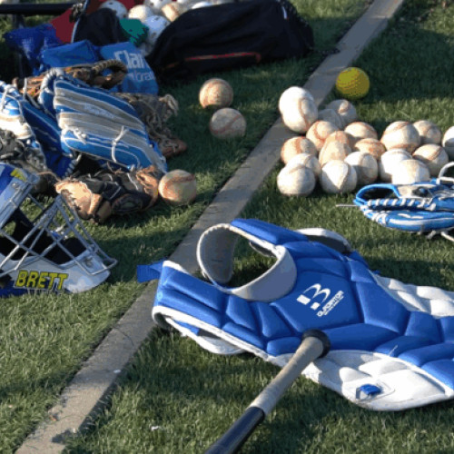 Thunder Wolves Botoșani debutează în Campionatul Național de baseball