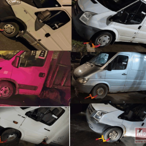 Acțiune de control a poliției locale din Botoșani