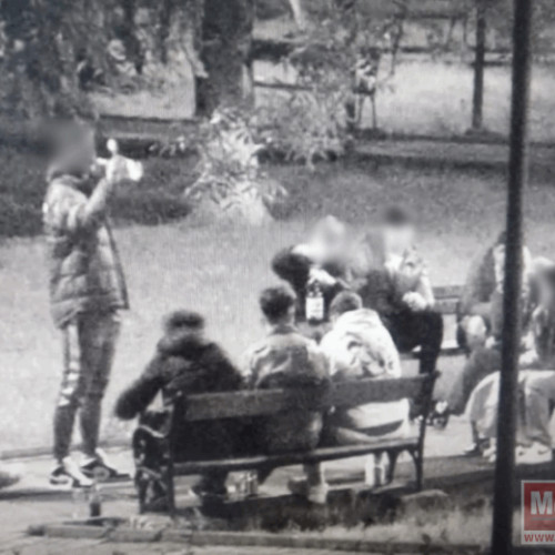 Incident în Parcul Tineretului atrage atenția autorităților