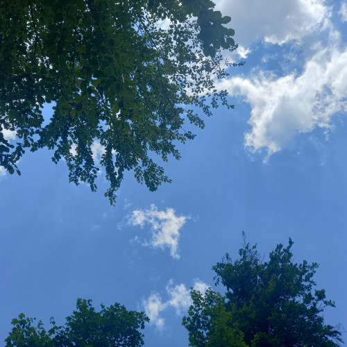 Vara lui 2025 aduce surprize meteorologice pentru România