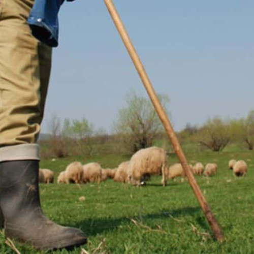 Bărbat amenință că își va da foc în fața Primăriei Corlăteni