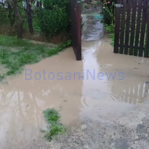 Ploile torențiale din Botoșani aduc necazuri