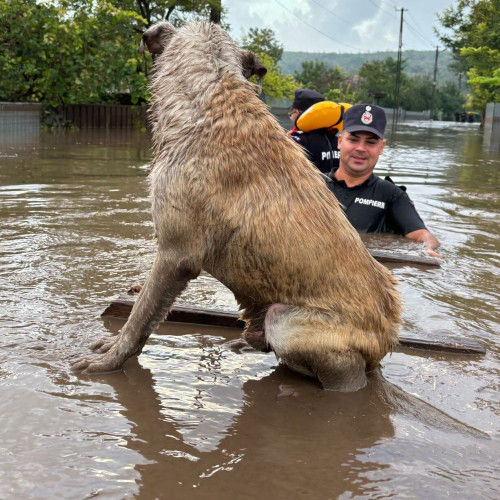 Risc de inundatii pe raurile din Romania