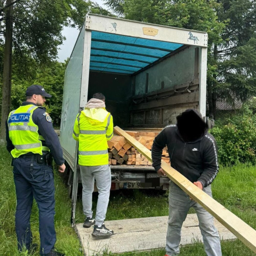 Tânăr prins cu transport ilegal de lemne în județul Botoșani