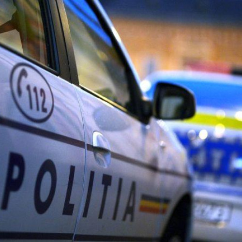 Poliția din Botoșani descoperă nereguli flagrante în județ