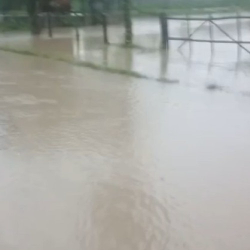 Inundații în județul Botoșani: Trei familii evacuate și gospodării afectate