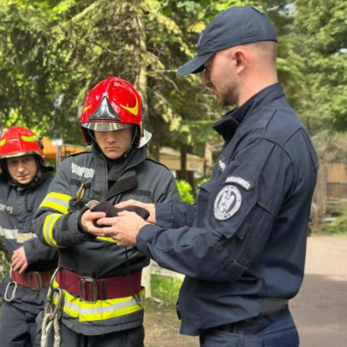 Pui de gaita, pasare protejată, salvat lângă Muzeul de Etnografie din Botoșani