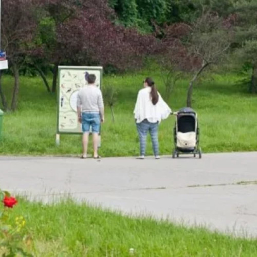 Situație critică în județul Botoșani din cauza lipsei unui sistem clar de evidență a parcurilor dendrologice, notează monitorulbt.ro. Autoritățile locale nu pot preciza câte astfel de zone există, unde se află și în ce stare se află. Problema a fost discutată într-o ședință a Consiliului Județean, unde s-a evidențiat că situația persistă de mai mulți ani, fără soluții concrete.