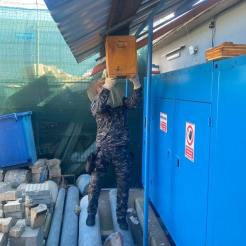 Un roi de albine a creat panică în Botoșani, luni dimineața, în apropierea unui depozit de materiale de construcții. Potrivit monitorulbt.ro, situația a fost rapid controlată de un jandarm aflat întâmplător în zonă, în timpul liber.