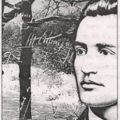 Ziua Eminescu s-a încheiat cu festivitatea de decernare a premiilor naționale de poezie[monitorulbt.ro], potrivit evenimentelor din luna ianuarie 2001, când s-au aniversat „Zilele Eminescu”. În cadrul acestui eveniment, pe 13 ianuarie, a fost dezvelit bustul lui Mihai Eminescu, o lucrare realizată din bronz de Dumitru Pasima, pe esplanada Casei de Cultură a Tineretului. În aceeași zi, au avut loc expoziții la Muzeul Județean Botoșani, printre care „Eminescu 2000”, ce include colecția dr. Constantin Teodorescu, și vernisajul albumului de artă „Laviuri eminesciene” de Valerian Topa. La Biblioteca Județeană „Mihai Eminescu” din Botoșani, a fost deschisă expoziția „Eminescu - țară de carte”, care face parte din fondul documentar Eminescu, donat de Ion C. Rogojanu, notează sursa citată.