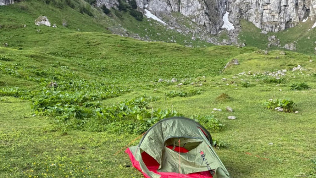 Familie nevoită să plece din cauza unui urs în zona Malaiesti, județul Brașov