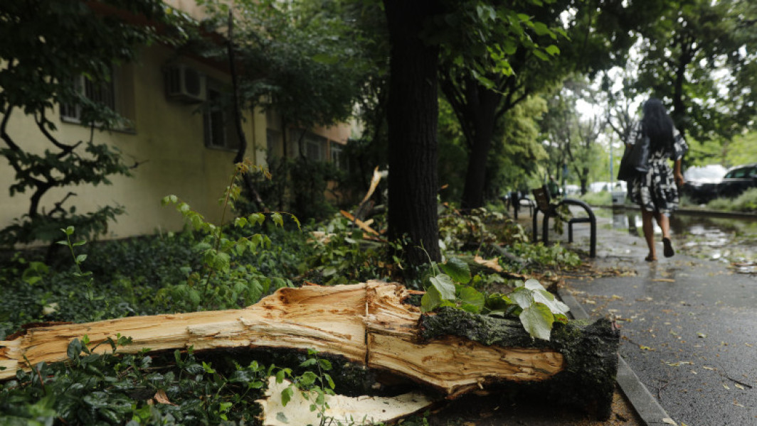 Furtună puternică a provocat haos în București și Ilfov