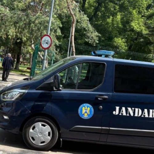 Jandarmii din Botoșani au intervenit pentru a opri un furt comis asupra unui bărbat de 64 de ani