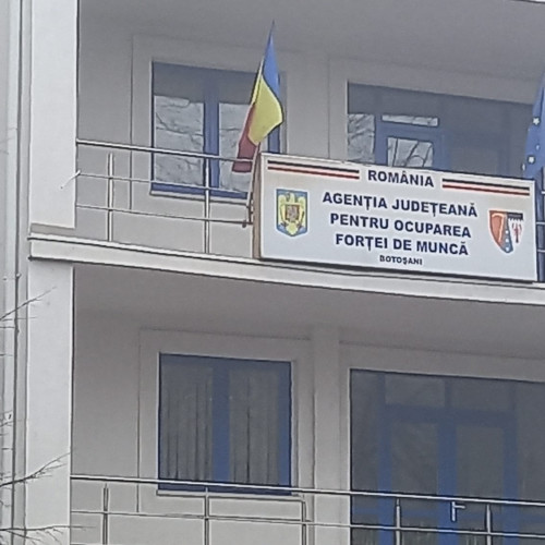 Aproape 1800 de botoșăneni și-au găsit de muncă, prin AJOFM, de la începutul anului. Cei mai mulți sunt din mediul rural