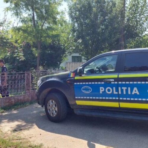 Cățeluși găsiți legați într-un sac. Un bărbat plătește scump pentru cruzime (VIDEO)
