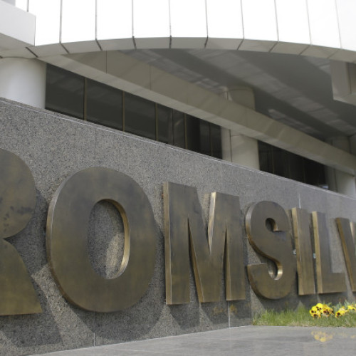 Diana Buzoianu a propus reducerea indemnizaţiei pentru membrii CA al Romsilva la mai puțin de jumătate din valoarea actuală