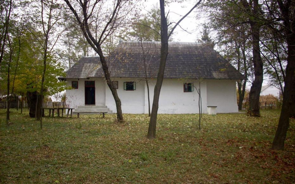 Image Description