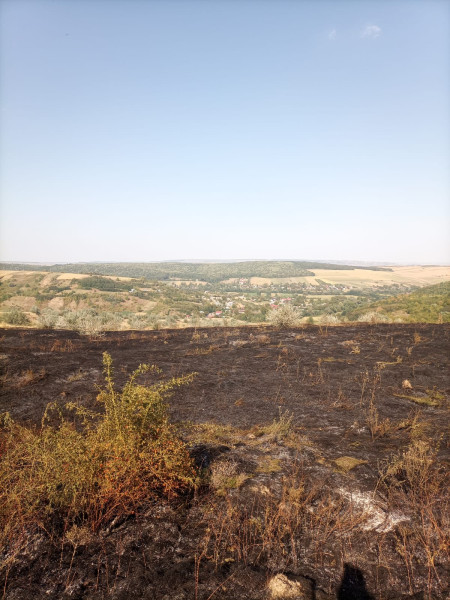 Incendii de vegetație în Moldoveni: intervenții ale pompierilor