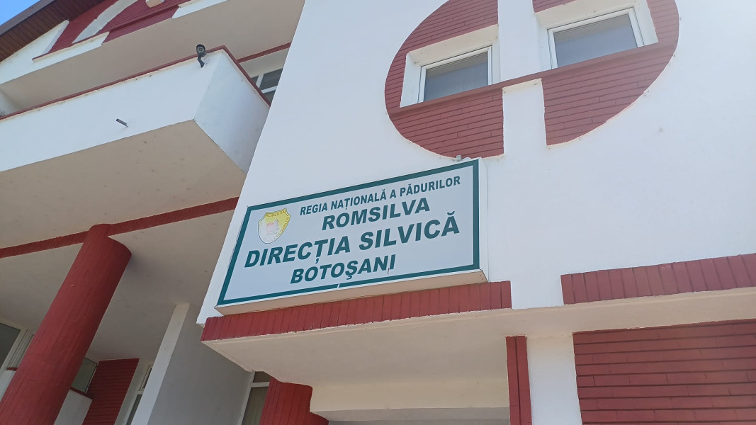Direcția Silvică din Botoșani, între cele mai performante unități ale Regiei Autonome a Pădurii – Romsilva, a înregistrat anul trecut un profit brut de 2,7 milioane de lei