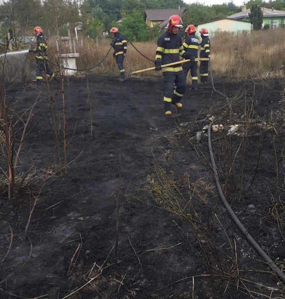 Pompierii au salvat patru case din Săveni și Santa Mare de incendii de vegetație