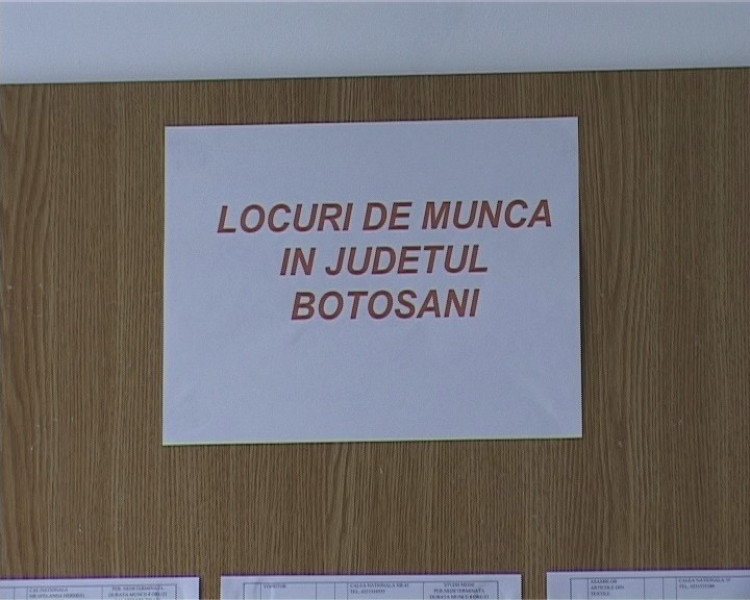 Agenția pentru ocuparea forței de muncă Botoșani oferă 336 locuri de muncă disponibile