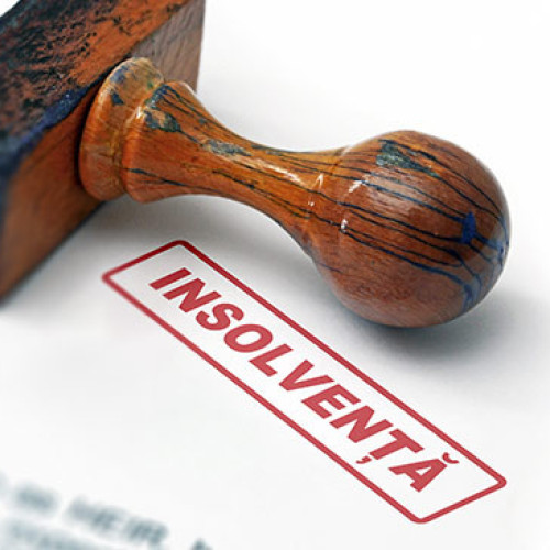 Firma Prime Intelligence New Coșula 2019 SRL a cerut insolvenţa la Tribunalul Botoșani