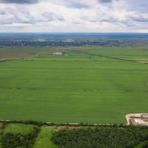 Peste 1.200 de hectare de teren agricol scoase la vânzare în județul Botoșani