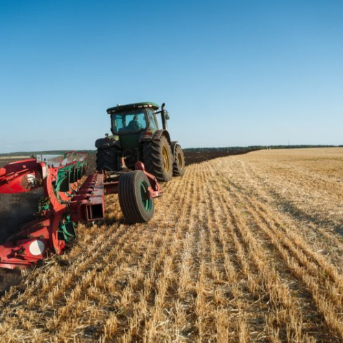 Fermier din Botoșani a cerut insolvența firmei agricole Darcom SRL