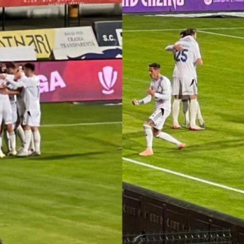 FC Botoșani s-a impus clar cu Hermannstadt în etapa a 14-a din Superliga