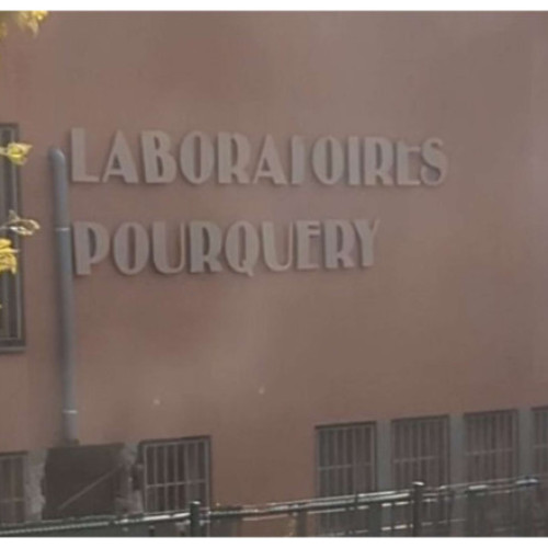 Șase persoane arestate după jaful cu explozibili la o rafinărie din Lyon