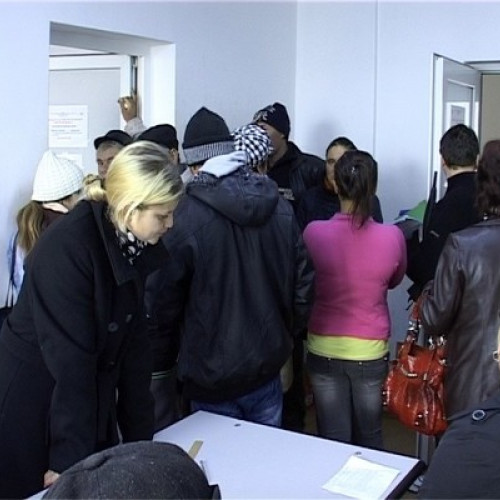 Peste 2.400 de persoane integrate pe piața muncii în Botoșani în primele nouă luni din 2025