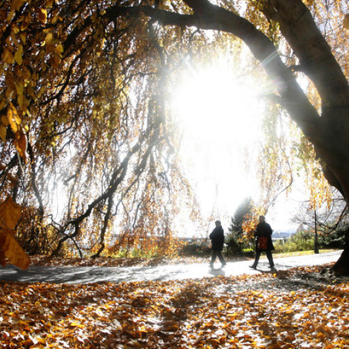 Vreme deosebit de caldă în noiembrie, cu maxime ce depășesc 24 de grade